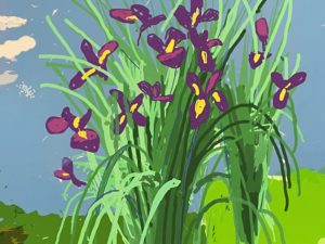 PDT-2021-David Hockney