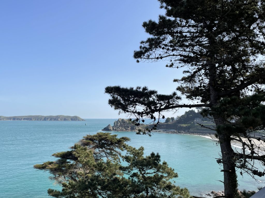 PDT-2022-Le_mamoir_du_sphinx-Pins_centenaires