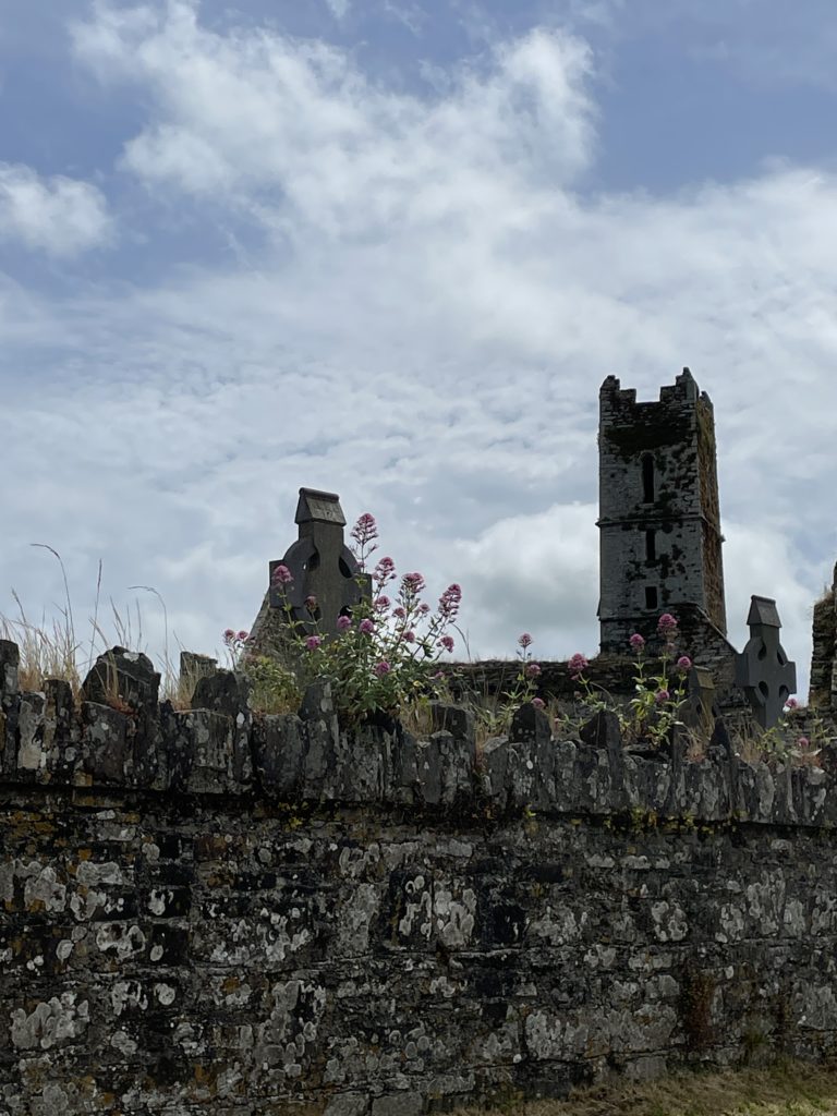 PDT-2022-Irlande-Timoleague_Abbey-2