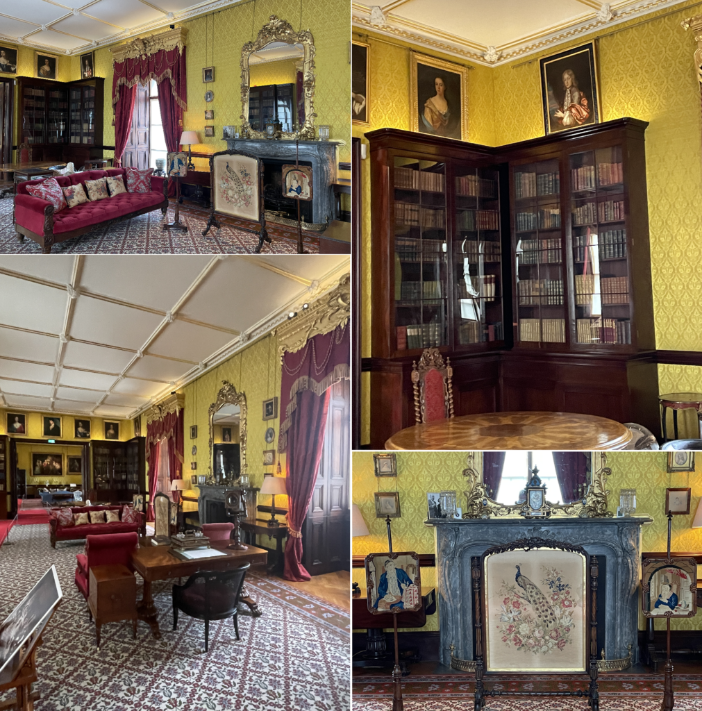 PDT-2022-Irlande-Chateau_Kilkenny-Bibliotheque
