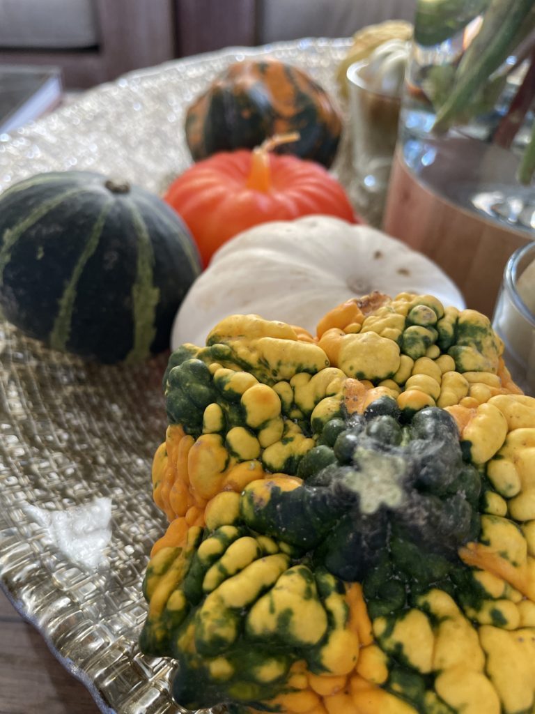 PDT-2024-Halloween_Samhain_Citrouilles