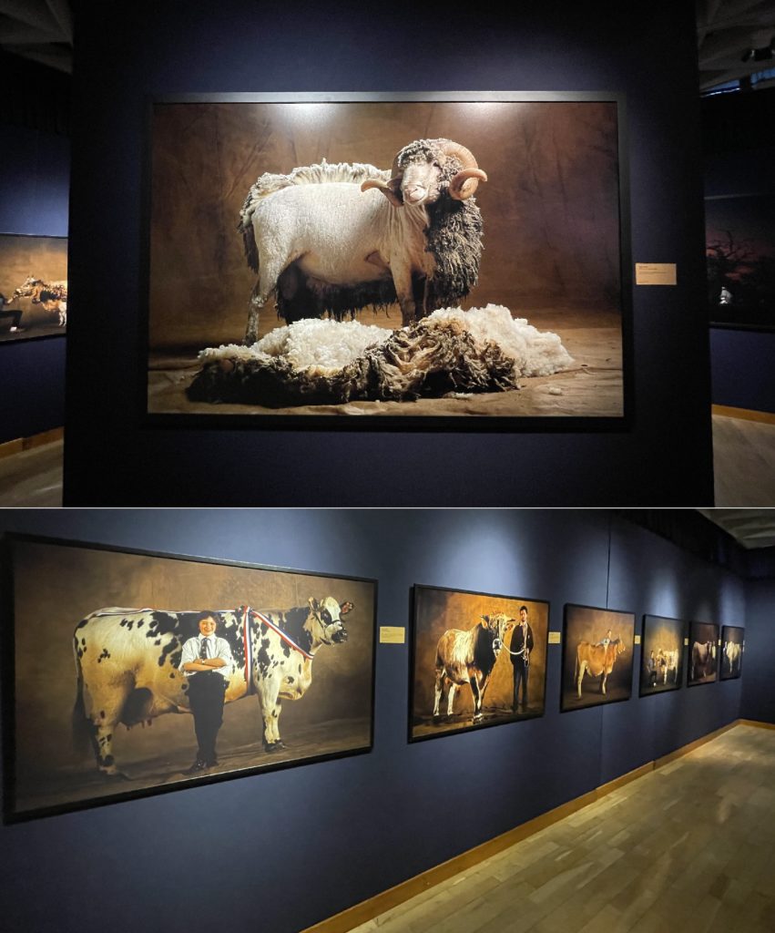 PDT-2025-Yann_Arthus_Bertrand-Les_bestiaux