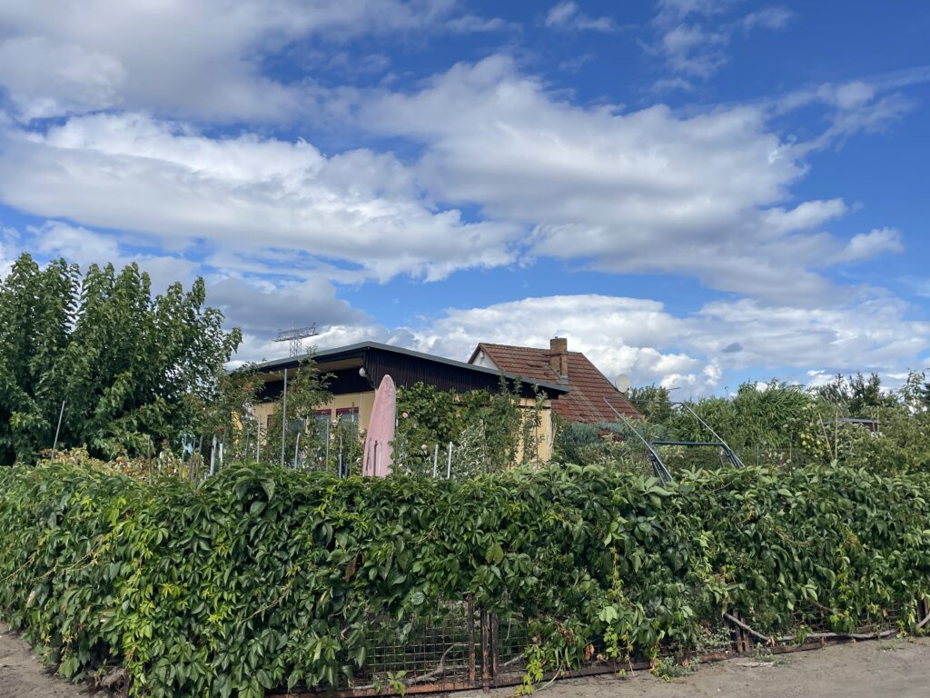 PDT-2026-Berlin-Sud_Ost_Galerie-Maison_Jardin_1